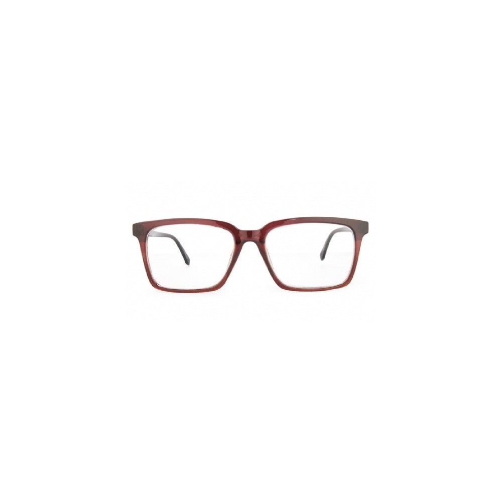 GAFAS NORDICVISION BORGHOLM +2.50