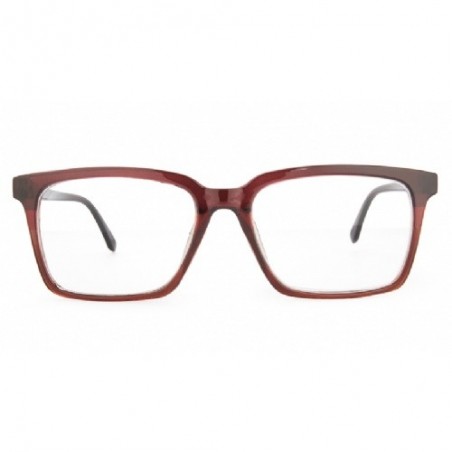 GAFAS NORDICVISION BORGHOLM +2.50