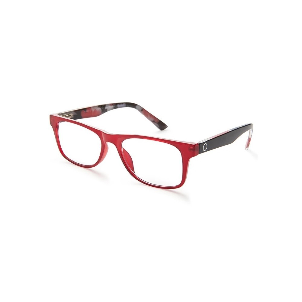 GAFAS NORDICVISION KARLSTAD +2.00