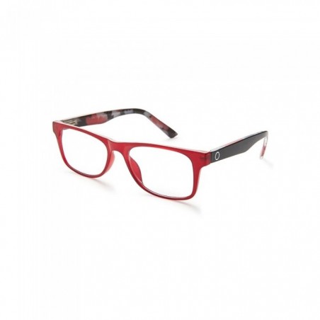 GAFAS NORDICVISION KARLSTAD +2.00