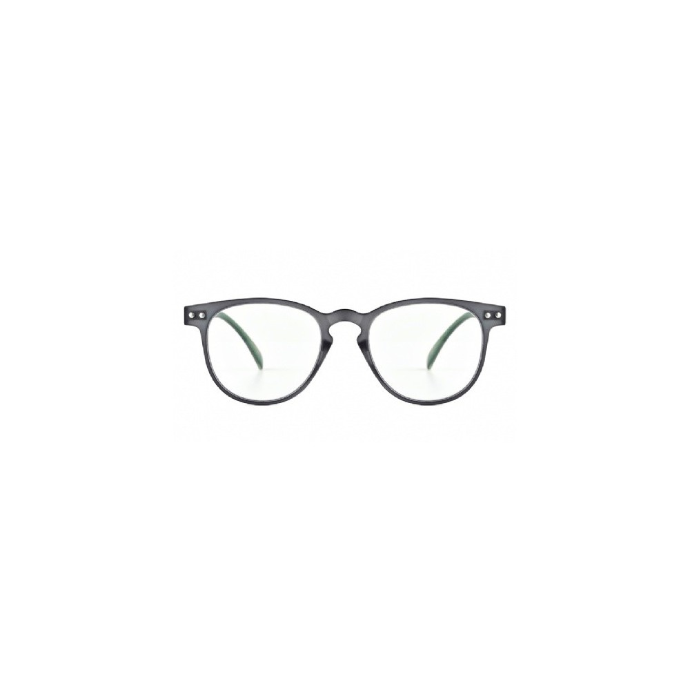 GAFAS NORDICVISION MJÖLBY +2.50
